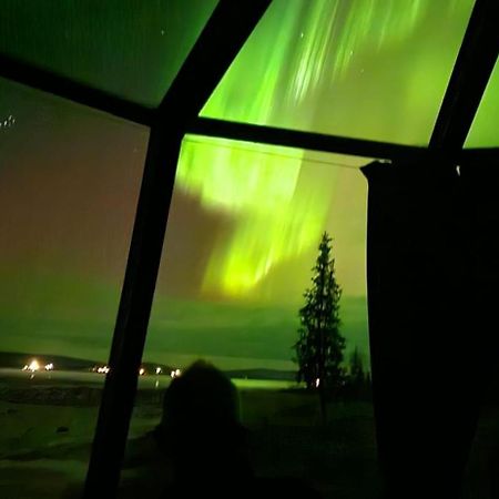 Aurora River Camp Glass Igloos & Cabins Kiruna község Kültér fotó