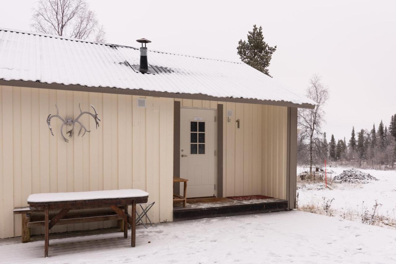 Aurora River Camp Glass Igloos & Cabins Kiruna község Kültér fotó