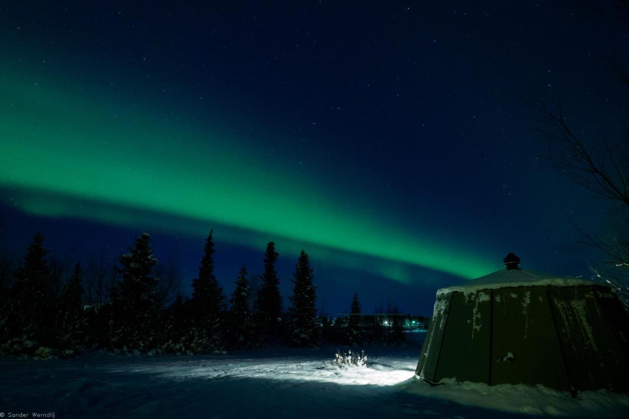 Aurora River Camp Glass Igloos & Cabins Kiruna község Kültér fotó